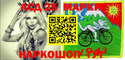стаф Будённовск