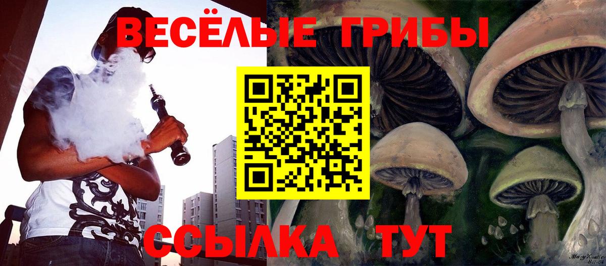 Красноуфимск  как найти   Вход с VPN  Псилоцибиновые грибы Magic Shrooms 